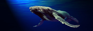 Baleine Noire